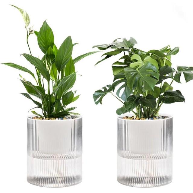 Llanguagebasin Self Watering Planter,Indoor Plants Pots for 6 Inch,2 Pack Clear White Plastic Flower Pot with Wick Rope,Home Modern Cylindrical Ribbed Decorative Pot for African Violets, Orchid,Aloe.