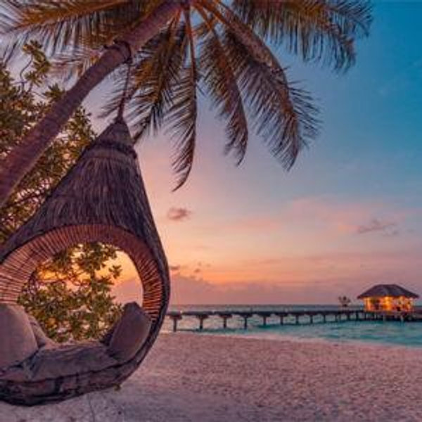 Honey Moon Fund