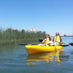 DELTA KAYAK RENTALS