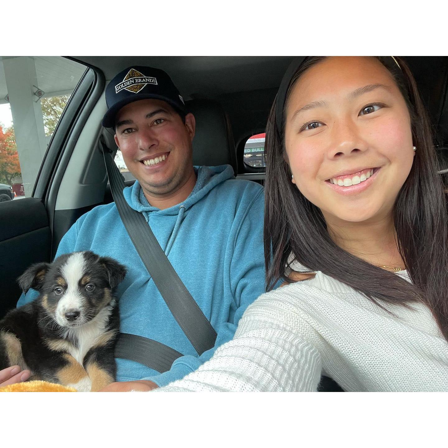We Adopted Our Little Guy, Levi - 2021