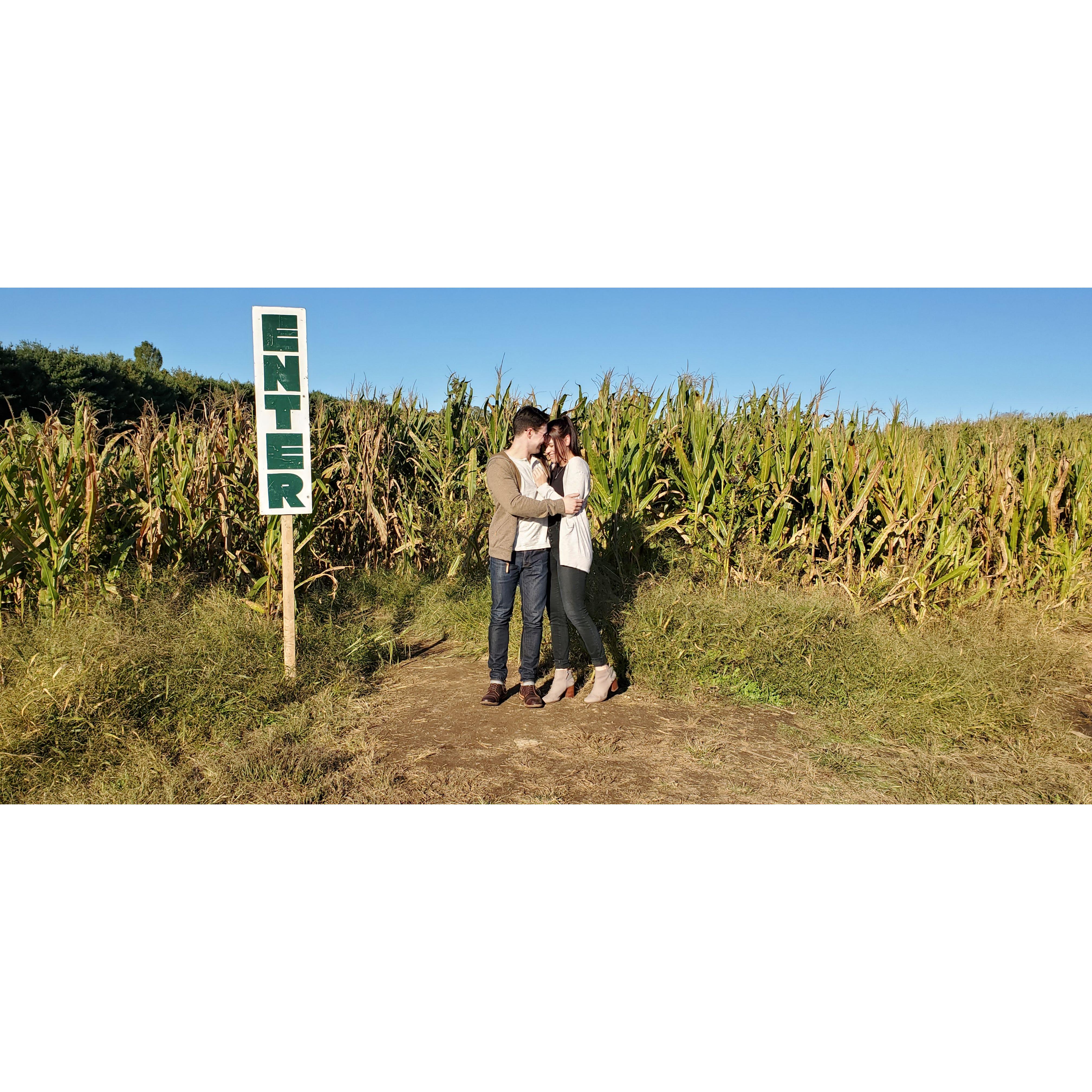 Getting lost in a corn maze