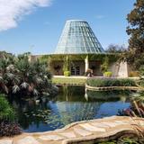 San Antonio Botanical Garden