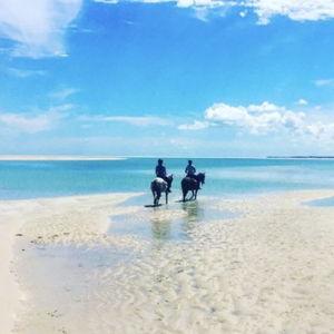 Horseback Riding in Mozambique