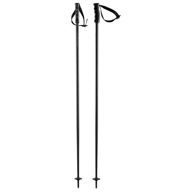 HEAD Unisex Multi Brushed Aluminum Black Poles