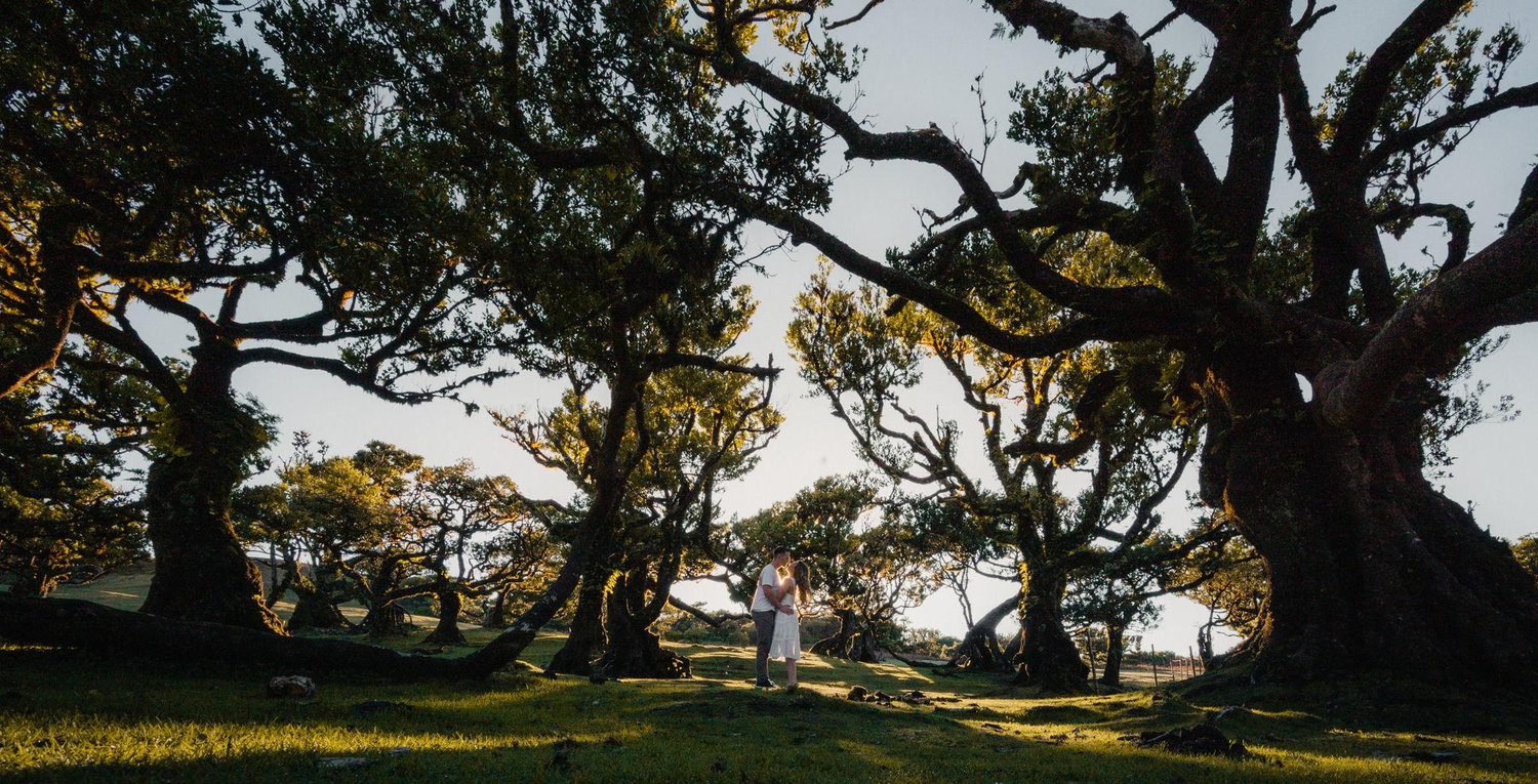 The Wedding Website of Shannon Tomsheck and Justin Collins