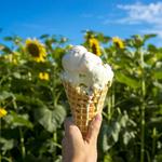 Buttonwood Farm Ice Cream