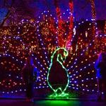 Indianapolis Zoo