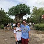 Animal Kingdom