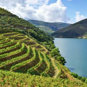Douro Valley Wine Tasting Tour For Two