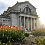 Saint Louis Art Museum