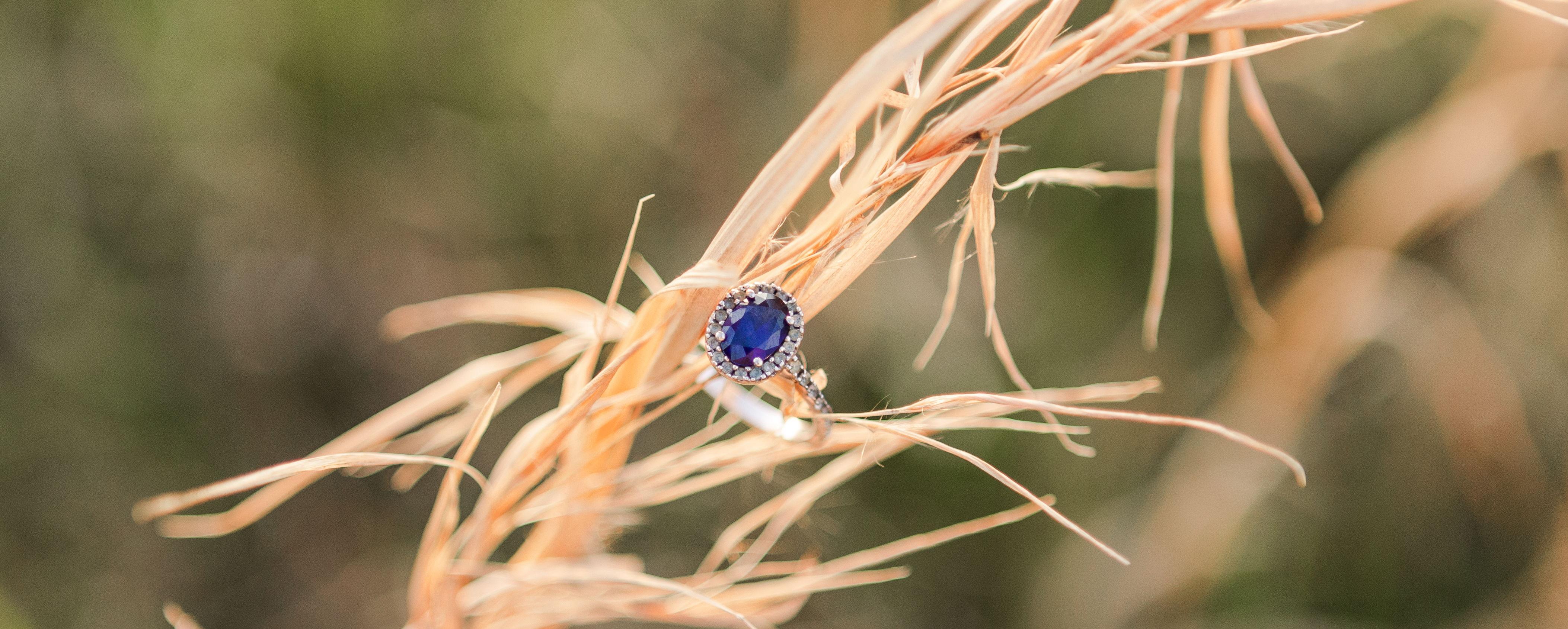 The Wedding Website of James Lewis Meeks and Mandie Elizabeth Clay