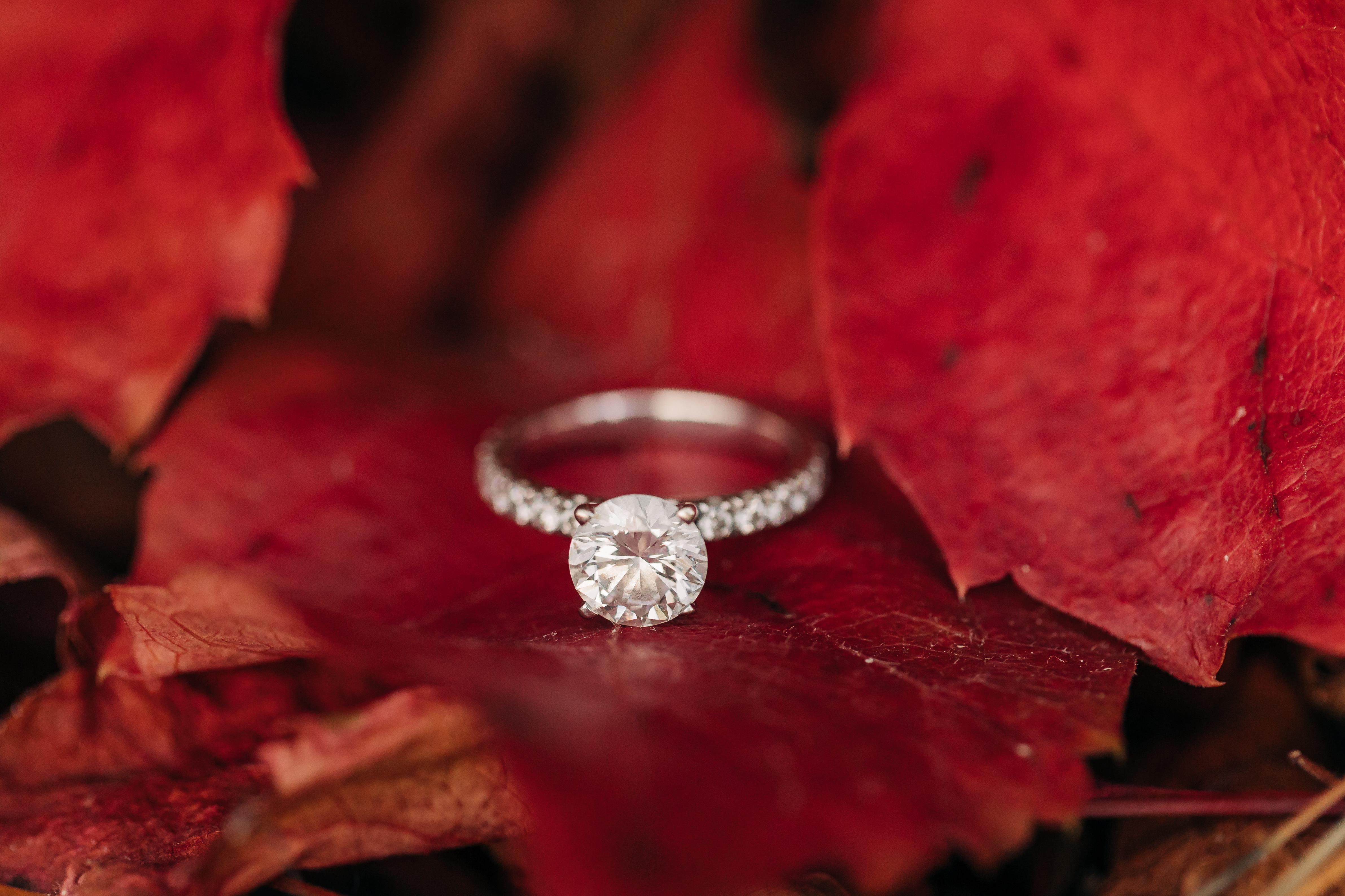 The Wedding Website of Cameron Dulong and Rachel Zubke