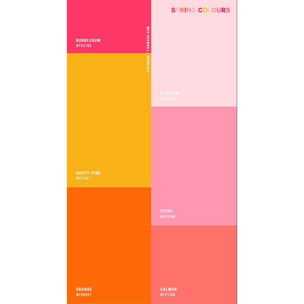 Our color scheme