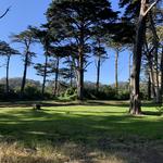 Golden Gate Park