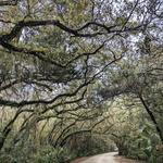 Fort Clinch State Park