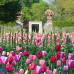 The Dallas Arboretum & Botanical Garden
