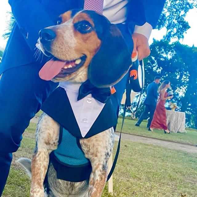 Mister Leroy’s Doggy Day Care Fund