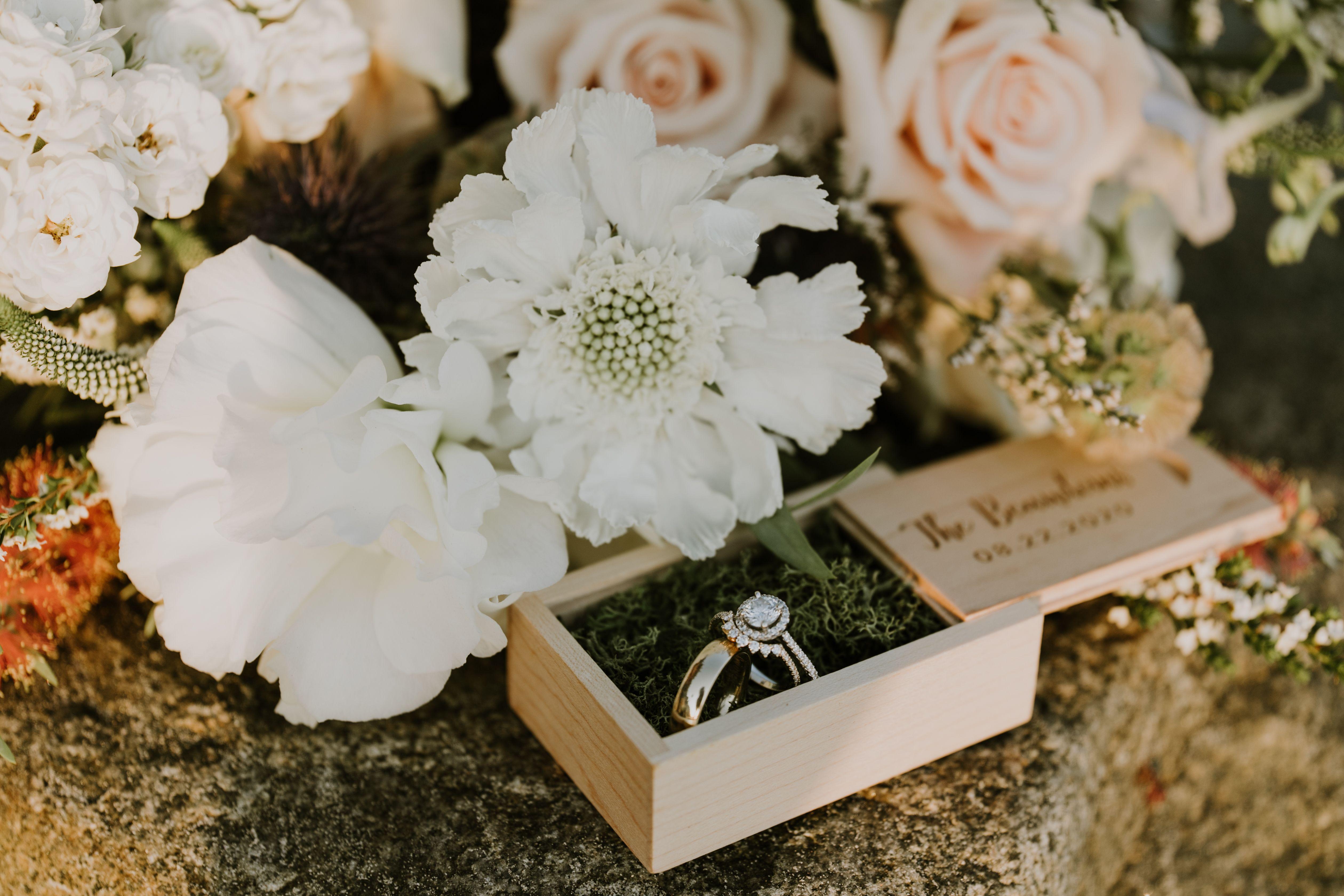 d2e3d45c-1560-455b-9013-f8b4b418420d