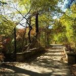Arbor Hills Nature Preserve