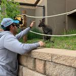 Cheyenne Mountain Zoo