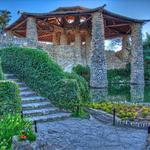 Japanese Tea Gardens