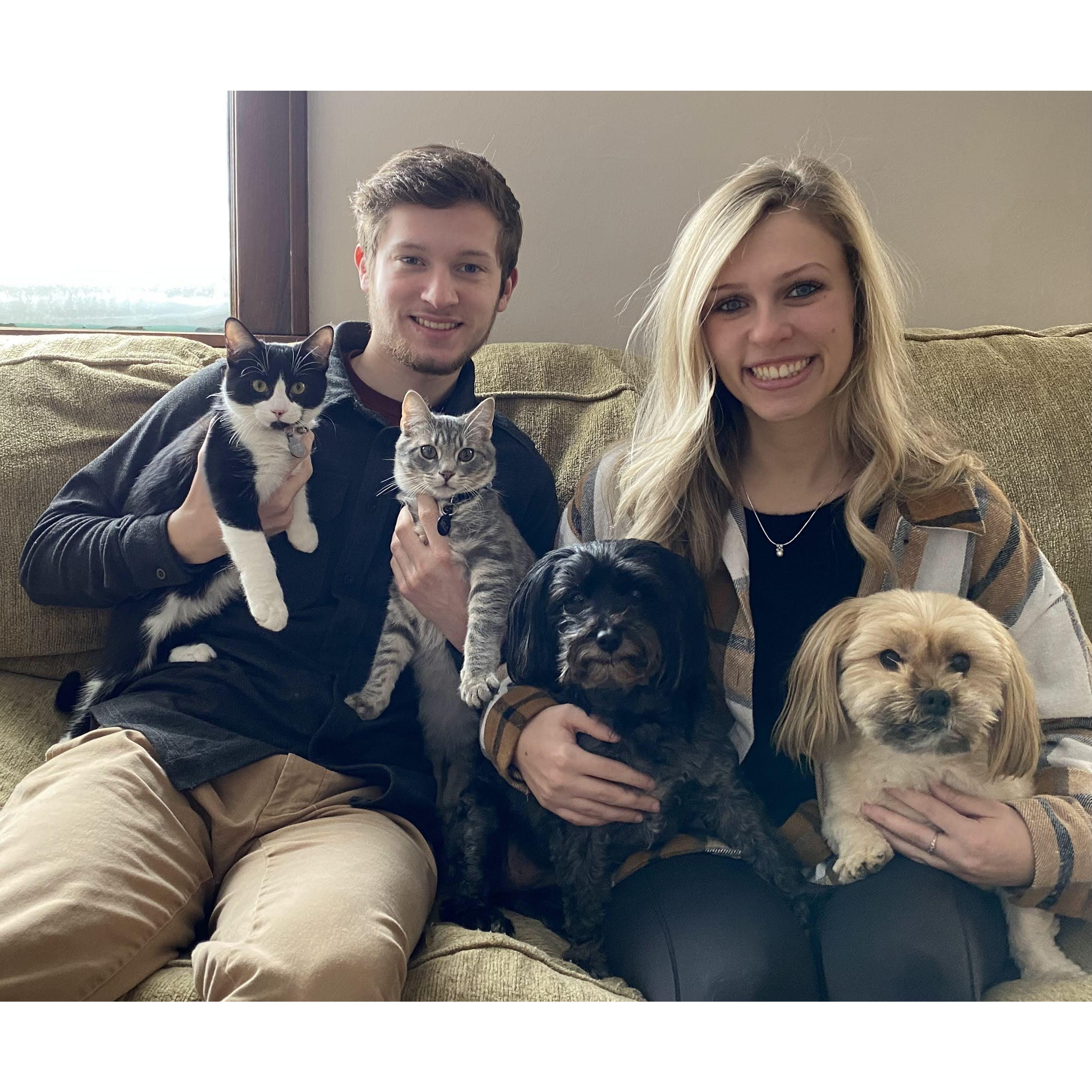 Our fur babies 2023 (missing Ruby)