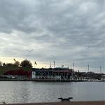 Federal Hill-Montgomery