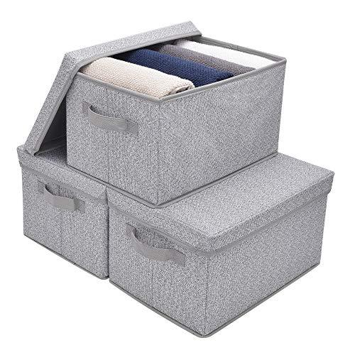 GRANNY SAYS Storage Bins with Lids and Handles, Rectangle Storage Basket, Gray, Large, 3-Pack