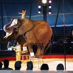 Circus World