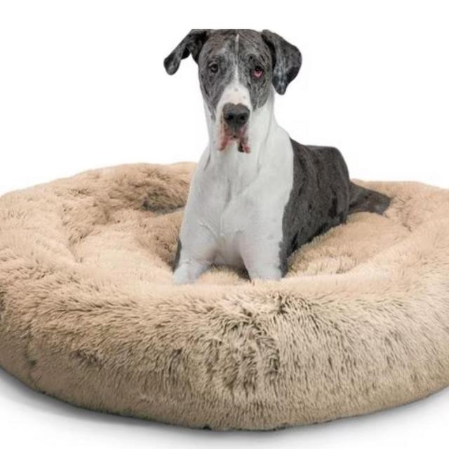 BEST FRIENDS BY SHERI The Original Calming Shag Fur Donut Cuddler Cat & Dog Bed, Beige, XX-Large - Chewy.com