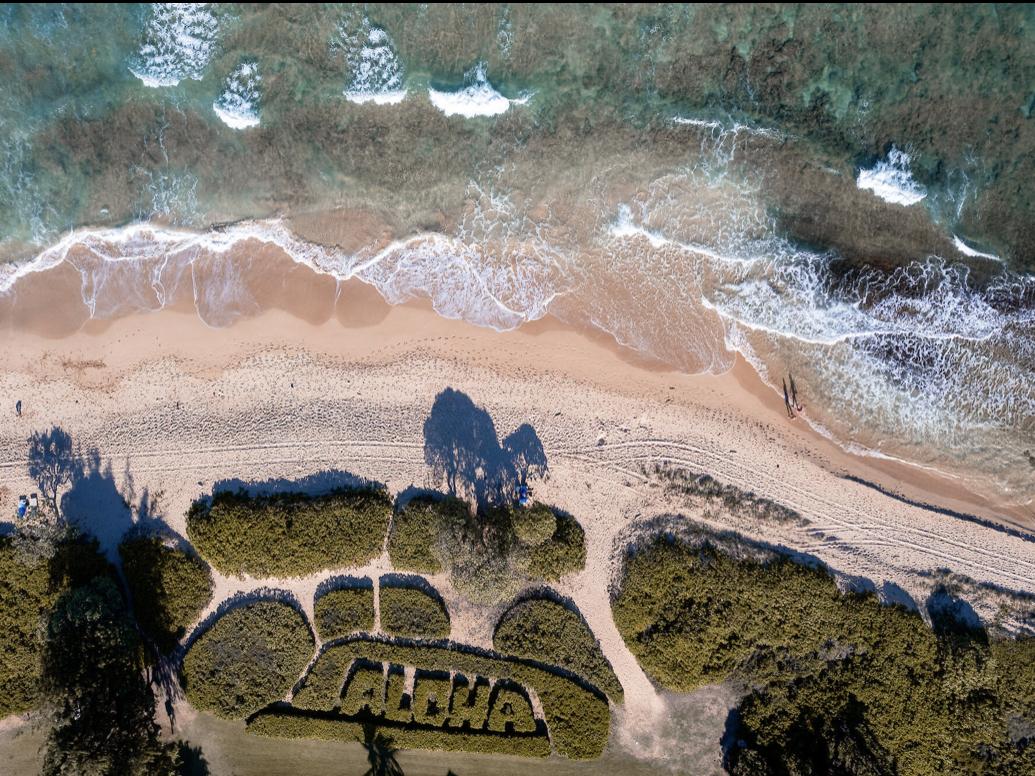 d2e7e0af-b156-4668-90de-cb35abbed253