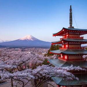 Honeymoon to Japan