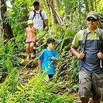 Kalihiwai Falls Hike