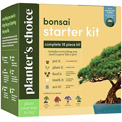 Bonsai Starter Kit - The Complete Growing Kit to Easily Grow 4 Bonsai Trees from Seed + Comprehensive Guide & Bamboo Plant Markers - Unusual Gardening Gifts Ideas for Women - Indoor Bonzai Tree Seeds