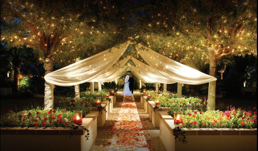 The Wedding Website of Yocasta Woodside and Meltoria Woodside