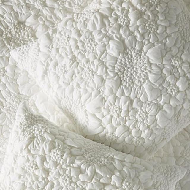 Textured Piazza Jersey Euro Sham - Ivory