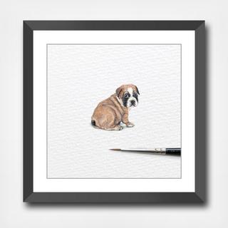 Bulldog