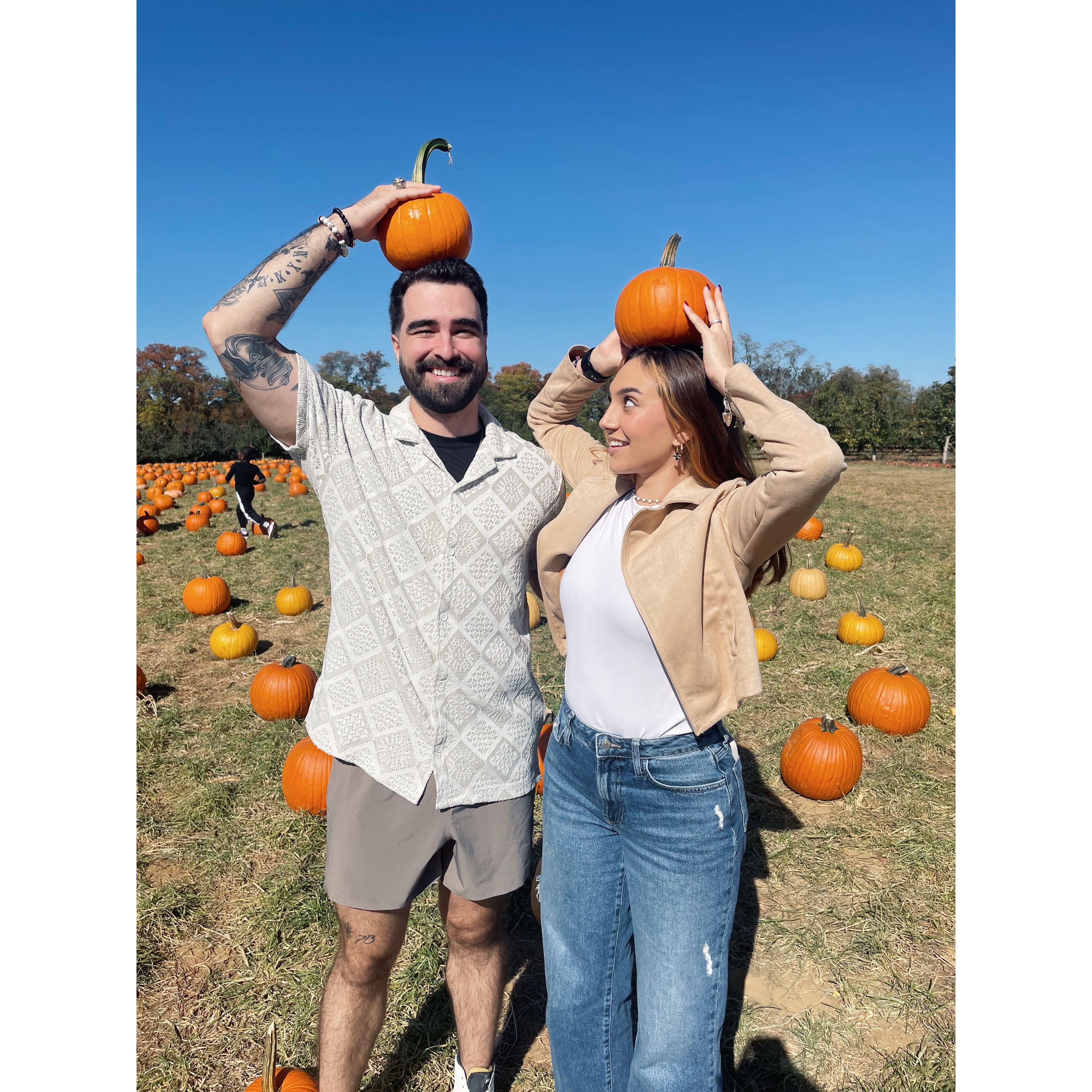 Pumpkin patch & apple orchard in NJ