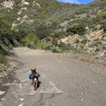 Romero Canyon Trail