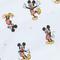 Mickey Fun
