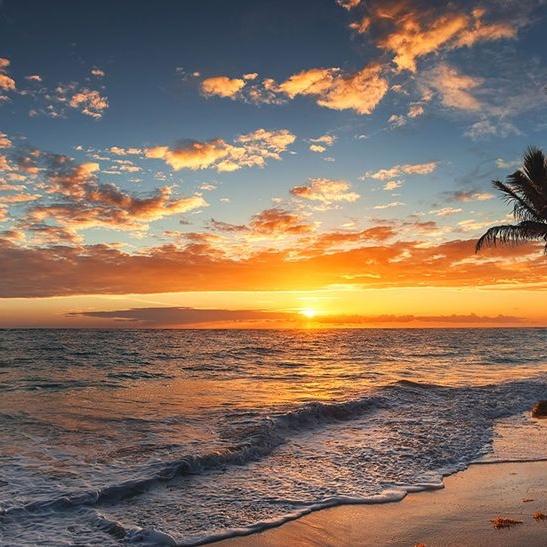 Daily Morning Coffee ~ Honeymoon Fund 🏝️