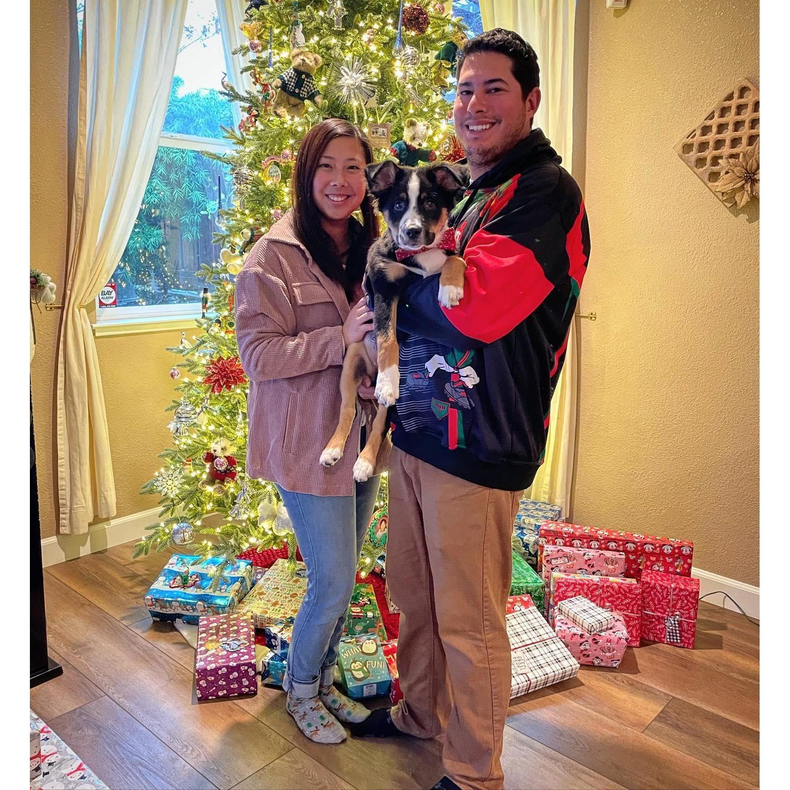 Levi's First Christmas - 2021