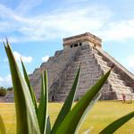 Tours and Excursions with Amstar