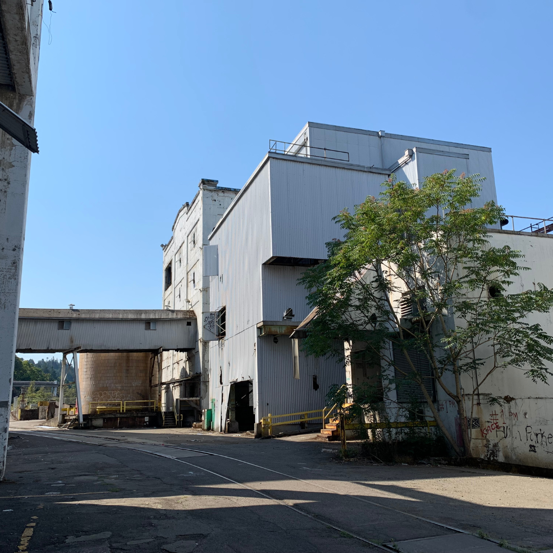 Abandoned Blue Heron Paper Mill we explored in PDX. It is currently in the process of being torn down.