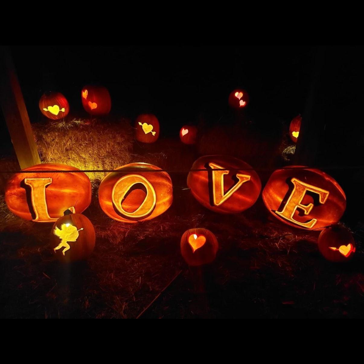 October 2024 - Jordan's Proposal to Amanda