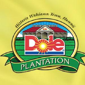 Honeymoon: Dole Plantation Tour