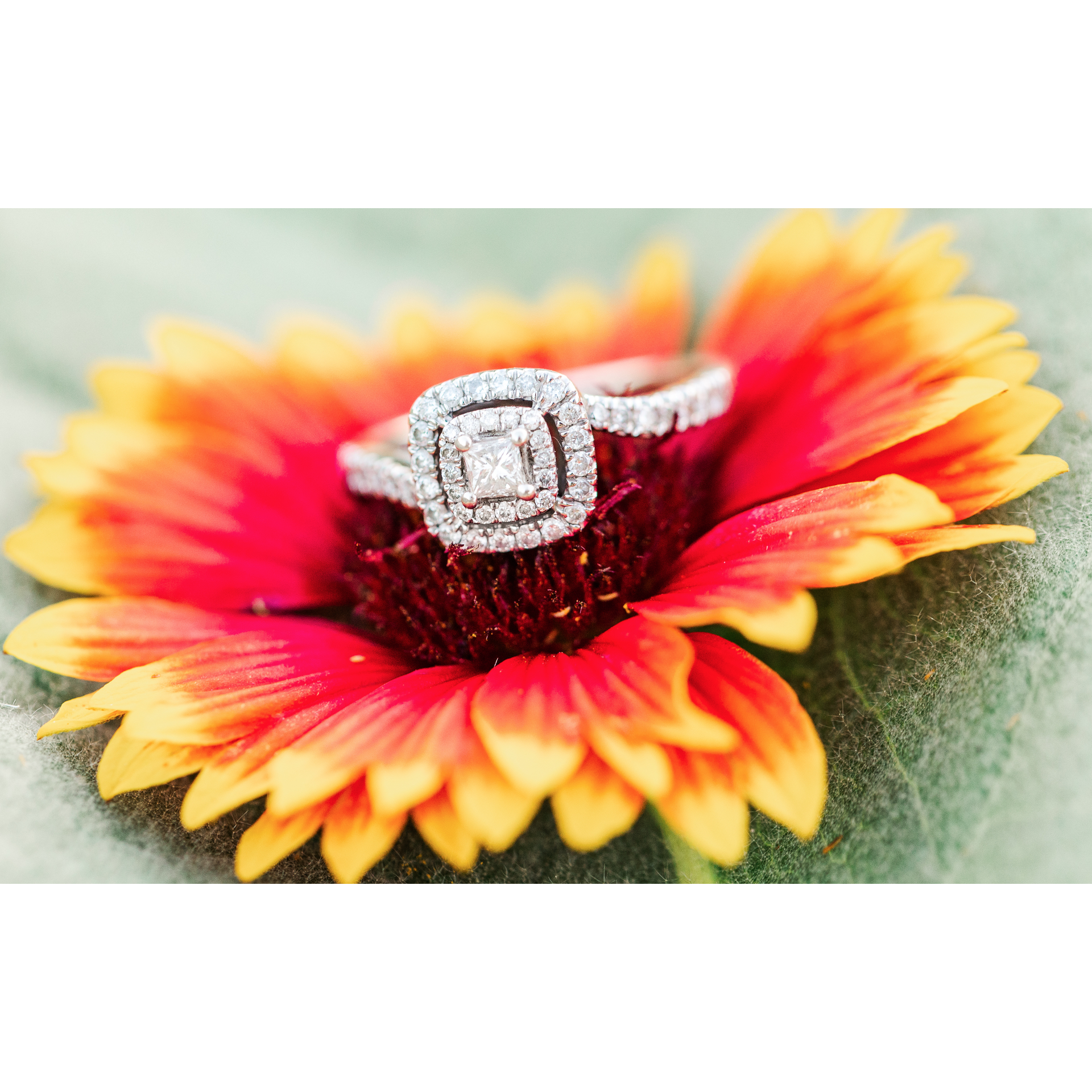 Look at that ring!!! I would have to say Garret did AMAZING picking out the ring! May, 2021