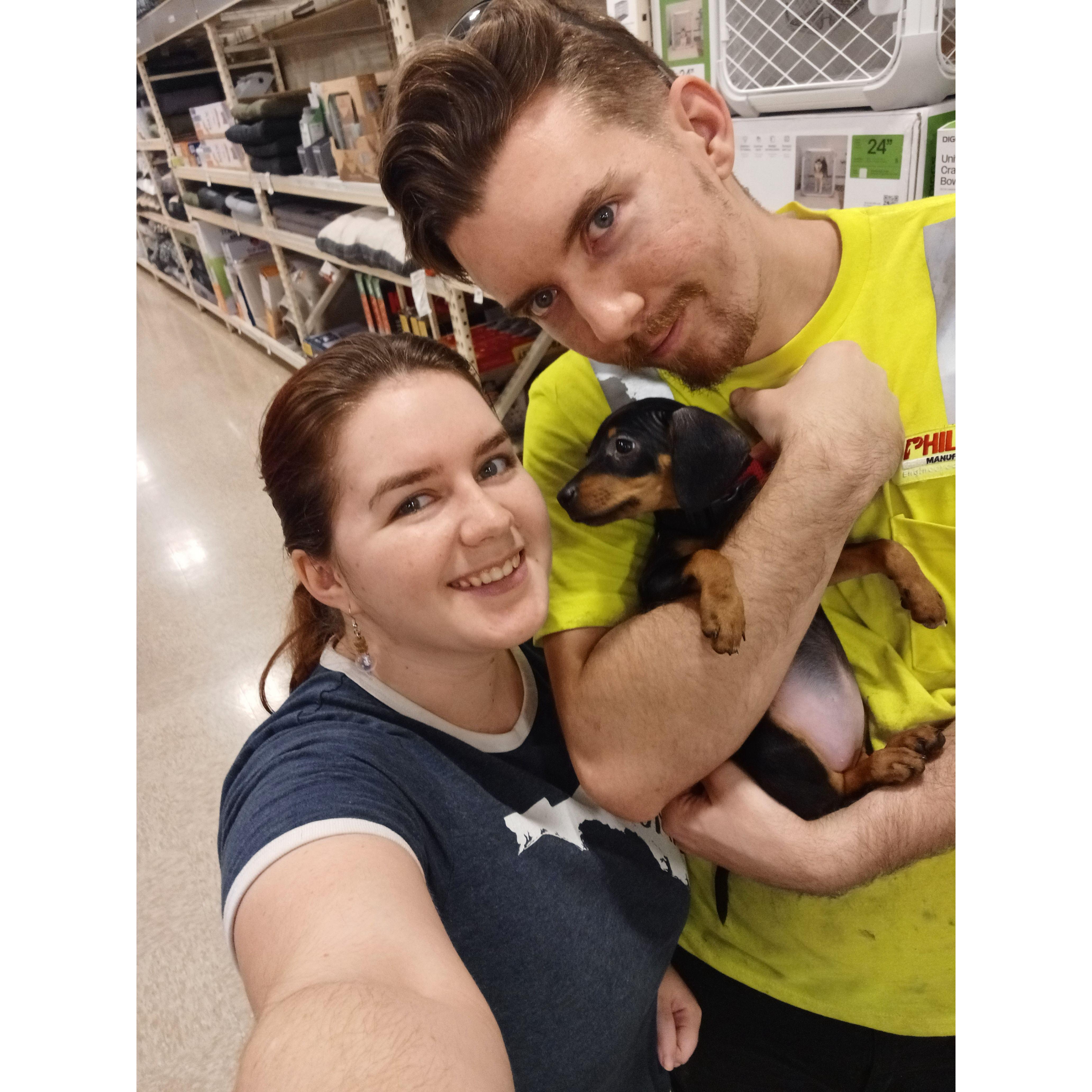 Evie's first trip to the pet store for her own collar.
