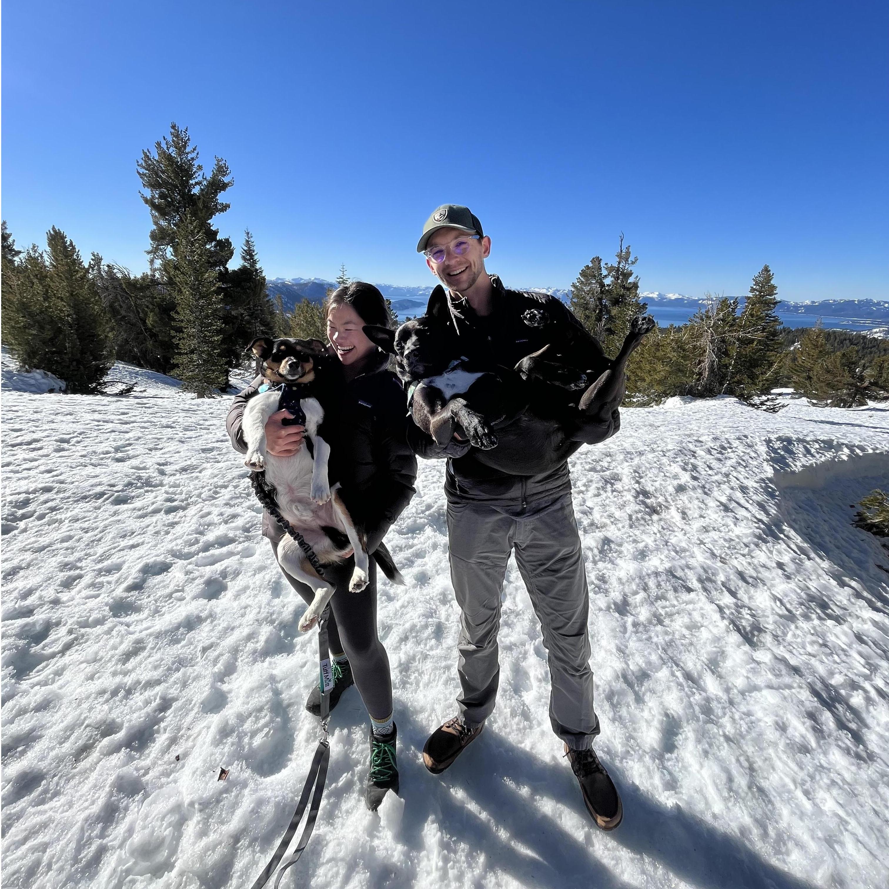 Hiking in the snow with the pups