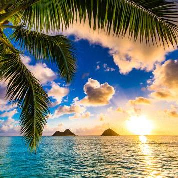 Hawaii trip